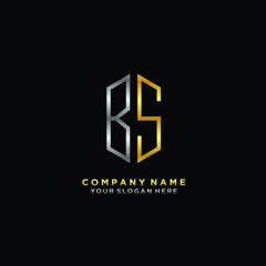 letter BS Minimalist style of gold and silver. luxury minimalist logo for business