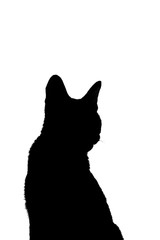 Real cat silhouette black and white