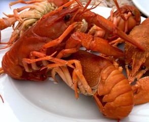 boiled crayfish on a plate