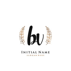 BV Initial handwriting logo vector	