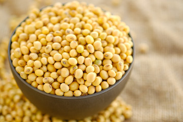 Soy bean in bowl with copy space.Close up soybean.beans dry in plate