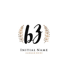 BZ Initial handwriting logo vector	