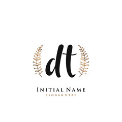 DT Initial handwriting logo vector	