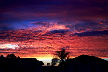 Sunset in the suburbs