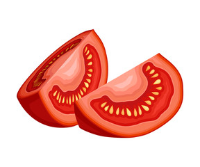 Cut Red Tomato, Ripe Vegan Organic Healthy Vegetable Vector Illustration
