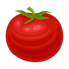 Fresh Ripe Red Tomato, Organic Healthy Vegetable Vector Illustration