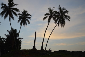 A morning prayer under a palm tree on the shore of the Indian Ocean