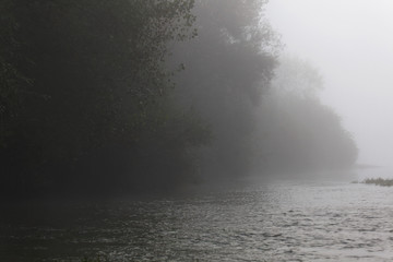 Fototapeta premium Fog on the Drava River River