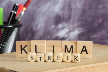 Klimastreik in der Schule