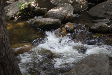 Naklejka na ściany i meble stream