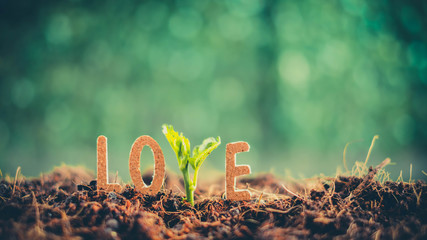 Letters and trees make up the word love over blurred green background. For Valentines Day greeting card. Typography design for print cards, banner, poster.The love of the environment