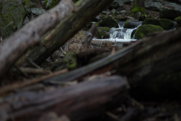 stream