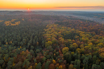 Aerial drone shot of pine tree forests and heathland in Luneberg Heide in Germany during sunset hour