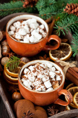 Cup of hot chocolate with marshmallows