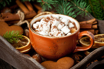 Mug filled with hot chocolate and marshmallows