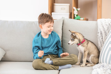 Little boy with cute husky puppy on sofa at home