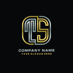 Obraz premium initial letter TS logo Abstract vector minimalist. letter logo gold and silver color