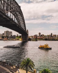 Harbor Bridge 