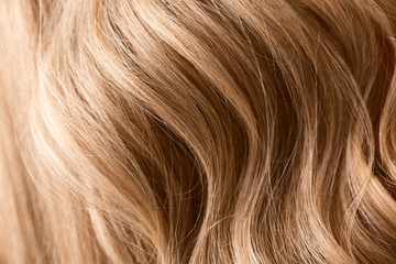 Naklejka premium Healthy long female hair, closeup