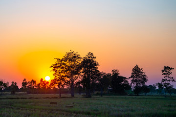 Fototapeta na wymiar Evening natural scenery in a country in Southeast Asia.Farmland Sunrise in nature.