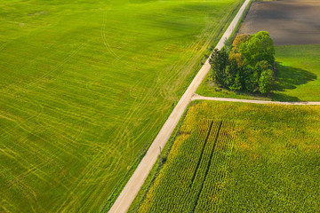 Green country fields with a road top view, aerial drone photo
