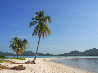 Fototapeta premium OLYMPUS DIGITAL CAMERA