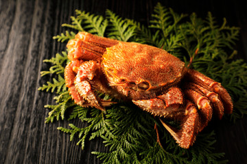 毛蟹　Hair crab