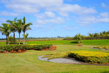 the pineapple garden in hawaii