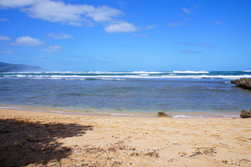 the landscape of north shore in hawaii