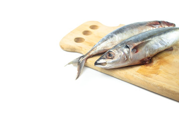 Asian Mackerel fish isolated on white background