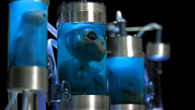 Aliens in cylindrical glass vessels (flasks), in a liquid with air supply (bubbles), similar to a laboratory for experiments, similar to mutants, close-up
