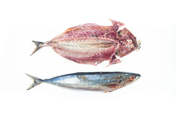 Sliced Raw Mackerel stretched isolated on white background