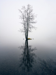 Mood foggy landscape with idyllic little island and calm lake at autumn morning in Finland - 314414016