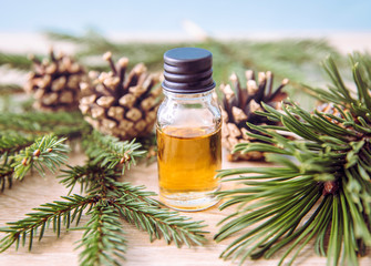 Pine and fir tree aroma oil bottle with pine tree and fir tree branches for decoration on lights wooden background. Essential oil concept.