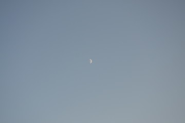 lonely moon