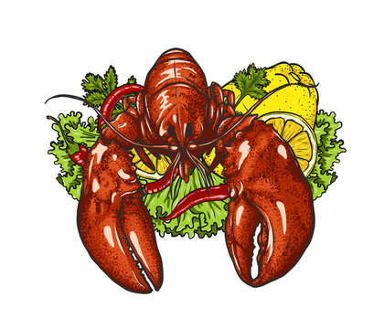 recommend clip art: Lobster with lemon and vegetable on white background.boiled lobster vector art highly detailed in line art style.