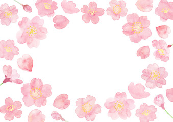 Watercolor flame illustration of cherry blossoms painted by hand