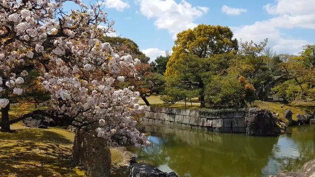 Garden in Nijo Castle, Kyoto, Japan