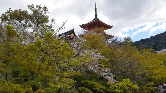 View of the garden in Kiyomizu-dera Temple, Higashiyama Ward, Kyoto, Japan