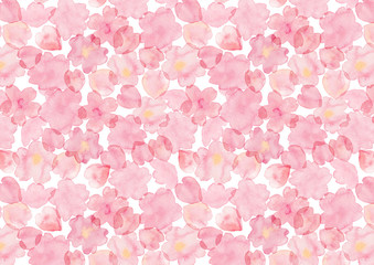 Watercolor background illustration of cherry blossoms painted by hand