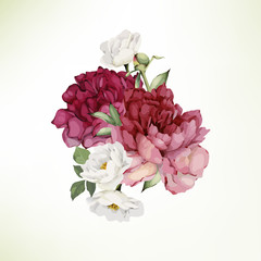 Bouquet of peonies , watercolor, can be used as greeting card, invitation card for wedding, birthday and other holiday and  summer background. Vector.