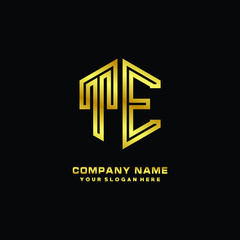 Initial letter TE, minimalist line art monogram hexagon logo, gold color