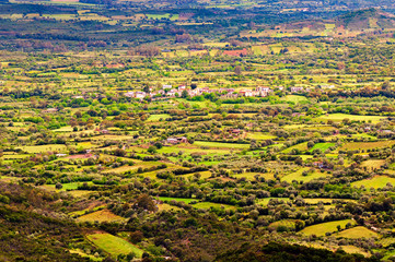 Extensive rural landscape with meadows, hedges and orchard (Ogliastra region, east Sardinia, Italy)).