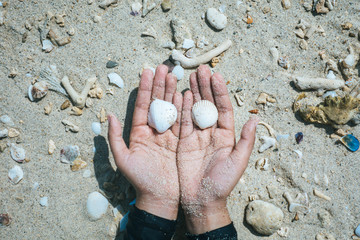 White shells in the hands of women On the beach full of beautiful shellfish.