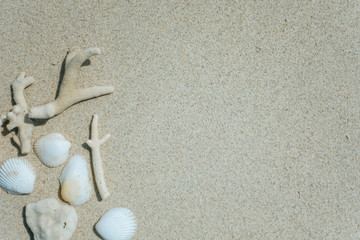 Sand and coral beach background There is space for placement.