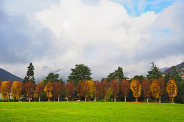 Autumn colors in public park near Bergamo