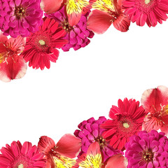 Beautiful floral background of Alstroemeria, Zinnia and Gerbera. Isolated