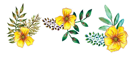 Set of yellow flowers with green leaves and twigs. Hand drawn watercolor illustration isolated on white background.