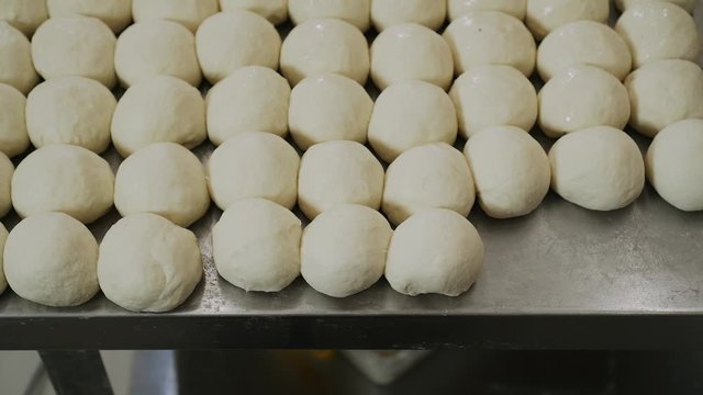 A lot of dough balls prepared to cook pies, bakery, bread. Baking in the kitchen. Professional baker is working in equipped cafe, restaurant. 