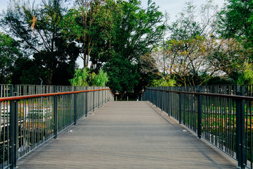 KUALA LUMPUR, MALAYSIA - JANUARY 10TH, 2020. Landscape Design at Taman Tasik Titiwangsa